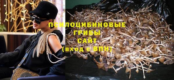 крисы Абдулино