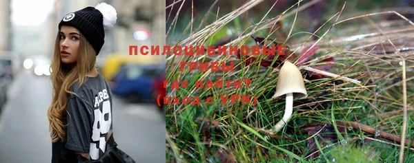 МДПВ Алексин