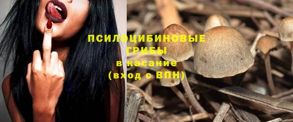 spice Алексеевка